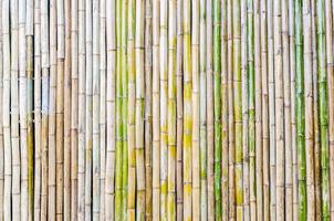 fond de clôture en bambou