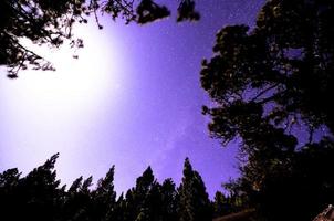 vue sur les bois le soir photo