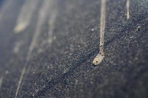 fenêtre en verre de voiture sale de sable du désert photo