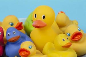 canards en caoutchouc multicolores sur fond bleu. photo