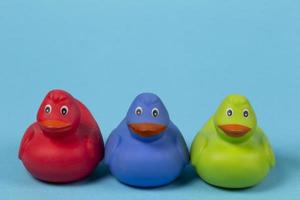 canards en caoutchouc multicolores sur fond bleu. photo