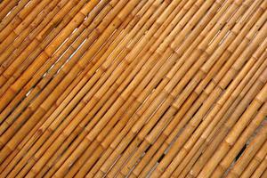fond de tiges de bambou alignées comme un mur photo