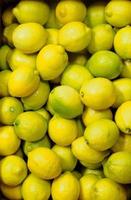 citrons bio jaune vif frais merveilleux agrumes pleins de vitamines saines photo