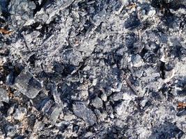 texture de charbon sec photo