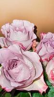 bouquet de roses sur fond clair. fête des mères, fête des femmes, saint valentin ou anniversaire. photo
