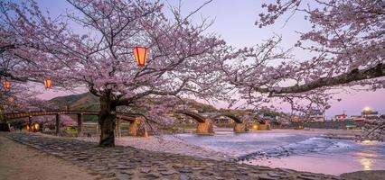 fleur de cerisier au pont kintaikyo ville d'iwakuni, japon photo