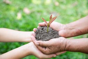 les mains d'adultes et d'enfants tenant des semis verts, le jour de la terre de l'environnement entre les mains d'arbres qui poussent des semis, réduisent le réchauffement climatique, le concept d'amour du monde. photo