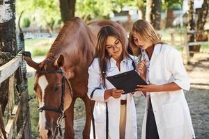 lecture de documents. deux femmes vétérinaires examinant le cheval à l'extérieur de la ferme pendant la journée photo