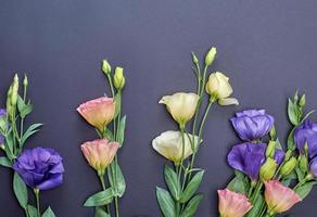 fleurs épanouies fraîches eustoma lisianthus photo