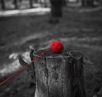 Pelote de laine rouge à tricoter posée sur une souche d'arbre photo