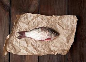 poisson carassin frais entier avec des écailles sur un morceau de papier brun froissé photo