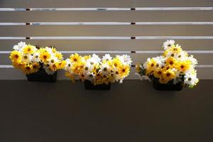 fleurs sur un balcon photo