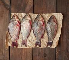 poisson carassin frais entier avec des écailles sur un morceau de papier brun froissé photo