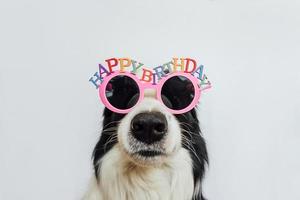 concept de fête de joyeux anniversaire. Funny cute puppy dog border collie portant des lunettes stupides d'anniversaire isolés sur fond blanc. chien de compagnie le jour de l'anniversaire. photo