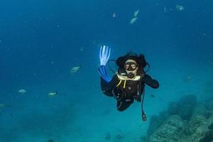 belle fille mexicaine latina plongeant dans la mer de cortez photo