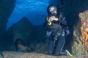 belle fille mexicaine latina plongeant avec des lions de mer photo