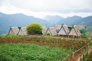 cottages dans une ferme en thaïlande photo