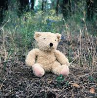 ours en peluche brun abandonné assis au milieu de la forêt photo