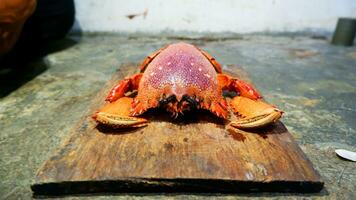 préparer le crabe clé dans la cuisine sur la planche à découper, copier l'espace en haut photo