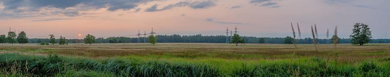 scène du coucher du soleil dans la réserve naturelle de gundwiesen près de l'aéroport de francfort photo