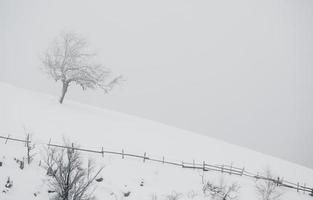 une chute de neige abondante dans les carpates roumaines dans le village de sirnea, brasov. vrai hiver avec de la neige dans le pays photo