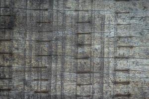 gros plan, de, mur bois gris, pour, texture, ou, arrière-plan