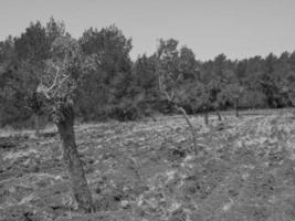 île d'ibiza en espagne photo