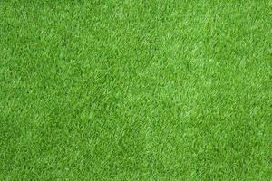 herbe verte pour la texture ou le fond photo