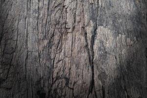 fond de texture bois vieille planche photo