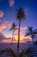 silhouette de cocotiers sur la plage au coucher du soleil. beau paysage d'été, ciel coucher de soleil et nuages. vue paisible sur la nature tropicale, arrière-plan incroyable photo