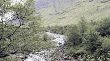 découvrez la beauté mystérieuse du brésil et de l'ecosse photo