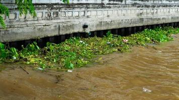 Eichhornia crassipes ou jacinthe d'eau commune et de nombreux déchets sur la surface de l'eau de la rivière Choa Praya à Bangkok, Thaïlande photo