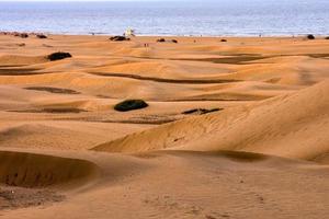 dunes de sable en bord de mer photo