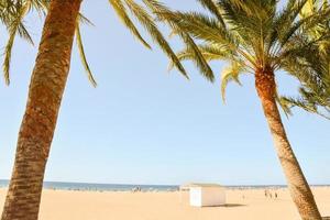 vue rapprochée de la plage pittoresque photo