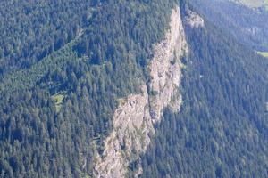 forêt sur la montagne photo