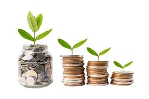 feuille de plumule d'arbre sur les pièces d'argent d'économie, concept d'investissement bancaire d'économie de financement d'entreprise. photo