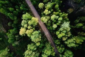 route à travers la forêt, vue aérienne photo