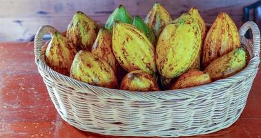 des cabosses de cacao mûres ou des fruits de cacao jaunes récoltent des fèves de cacao à envoyer à la chocolaterie photo