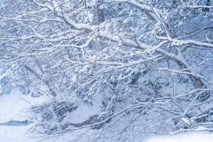 De fortes chutes de neige à la rivière dans le village de heike no sato dans la préfecture de tochigi, la ville de nikko, au japon photo