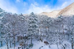 De fortes chutes de neige à heike no sato village dans la préfecture de tochigi, nikko city, japon photo