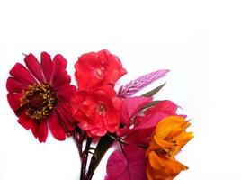 bouquet de fleurs isolé sur fond blanc photo