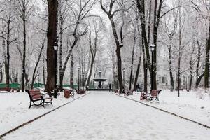 parc d'hiver couvert de neige et de givre photo