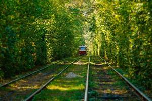 rails de tram et de tram dans la forêt colorée photo