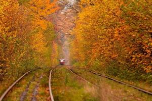 forêt d'automne parmi laquelle passe un étrange tram photo