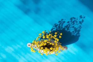 composition à plat à partir de fleurs jaunes sur fond bleu avec des ombres photo