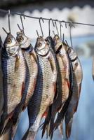 poissons de rivière salés accrochés à des hameçons photo