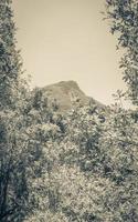 montagnes dans le parc national de tablemountain au cap. photo