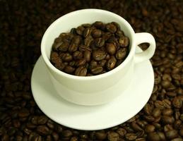 grains de café dans une tasse de café photo