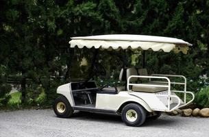 voiturette de golf blanche photo