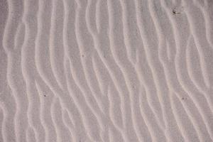 texture de gros plan de sable photo